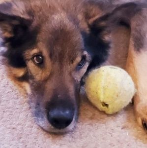 Meet your Posher, Sylvia